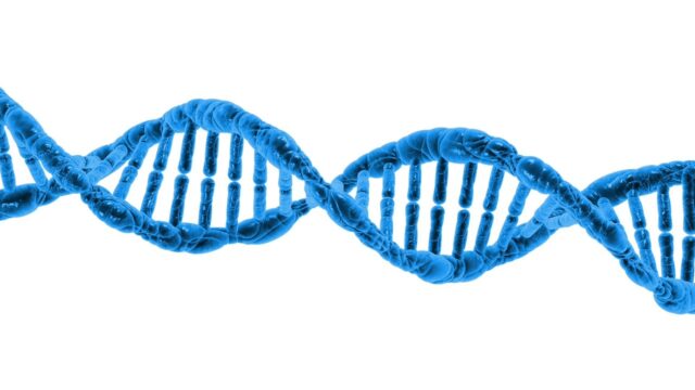 Come fanno gli scienziati a leggere il DNA di una persona?