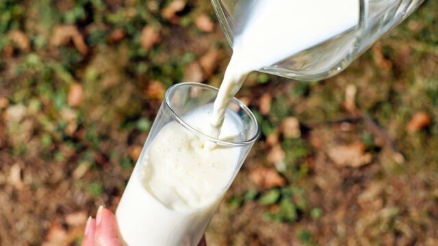 Non bevi latte? Ecco come ottenere abbastanza calcio e altri nutrienti