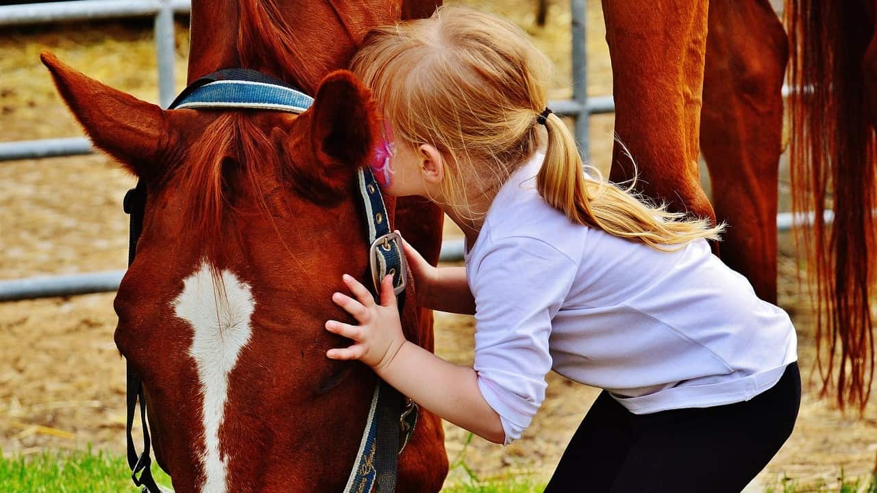 Bambina che bacia un cavallo