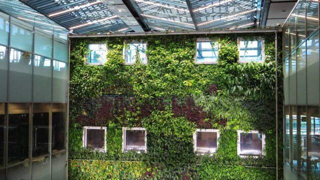 Gli edifici verdi aumentano la produttività e la salute dei lavoratori