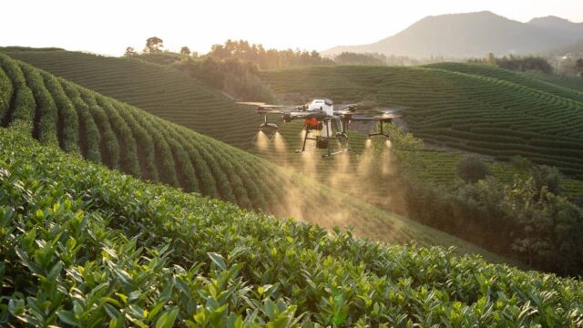 L’uso dell’IA in agricoltura può aumentare la sicurezza alimentare