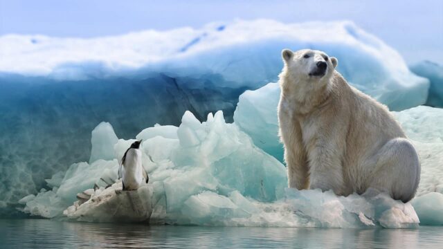 L’Artico si sta riscaldando quattro volte più veloce rispetto al resto del mondo