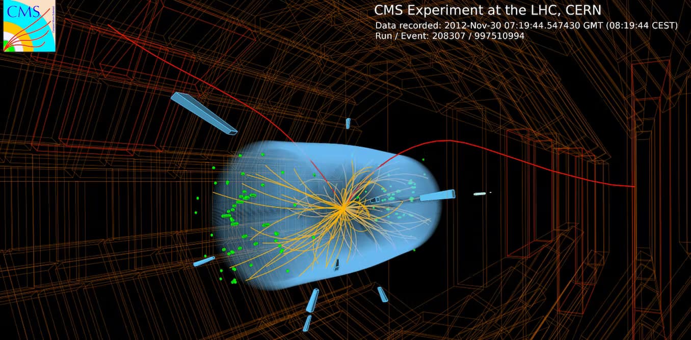 I muoni, un tipo di leptone, sono studiati al Large Hadron Collider
