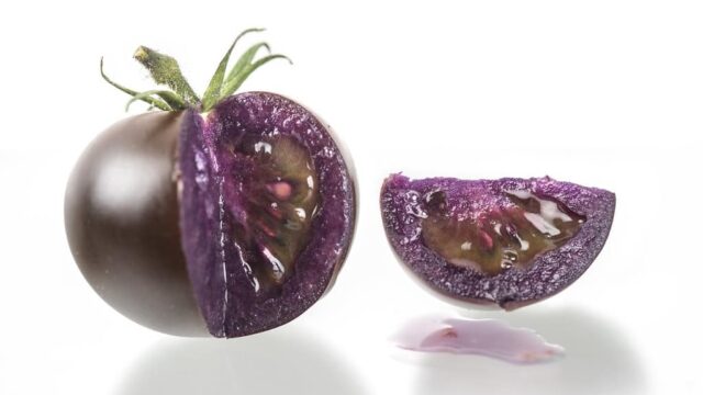 La storia del pomodoro viola è il successo degli alimenti OGM