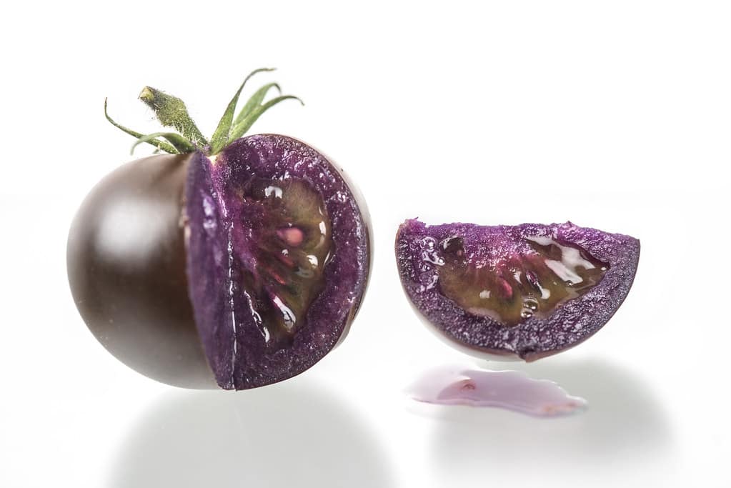 pomodori viola (OGM)