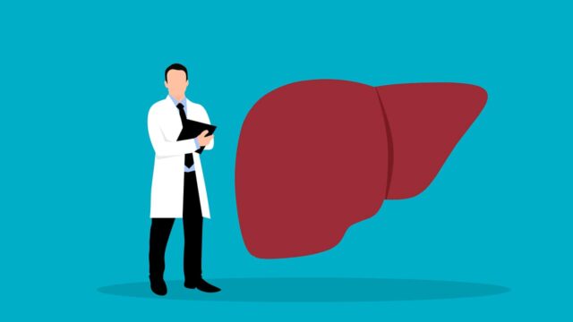 Aiutare il fegato a rigenerarsi: una nuova ricerca