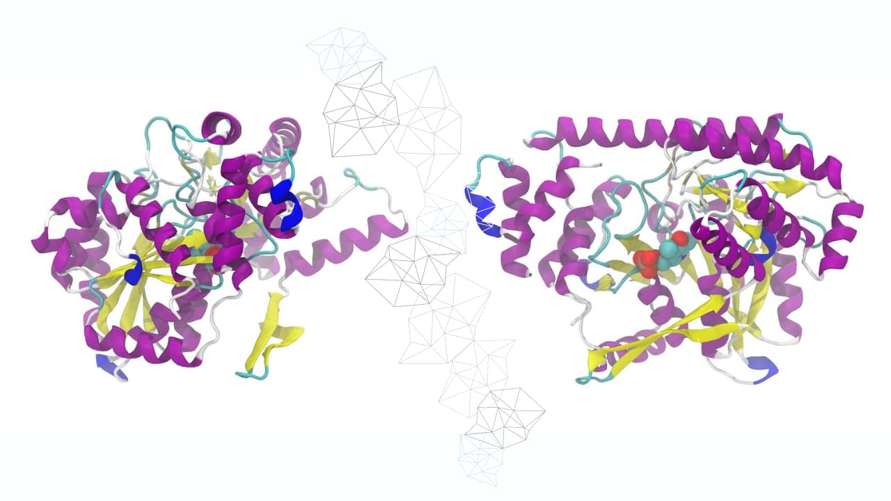 Al momento stai visualizzando L’intelligenza artificiale per la ricerca sulla struttura delle proteine