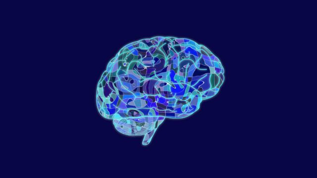 Neuroplasticità: la capacità del cervello di trasformarsi e ripararsi