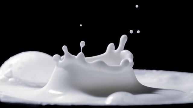 Perché siamo l’unica specie che beve latte in età adulta?