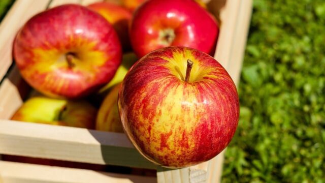 Davvero una mela al giorno toglie il medico di torno?