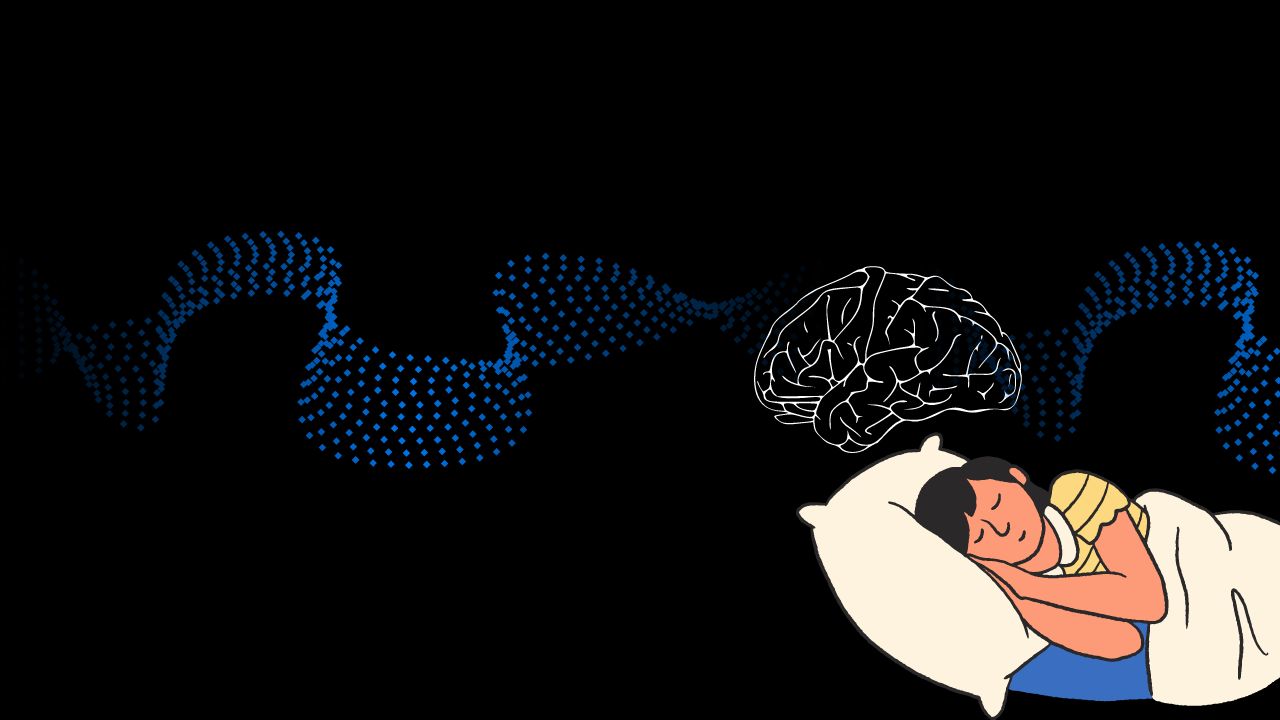 Al momento stai visualizzando La scienza del sonno: cosa succede nel cervello quando dormiamo