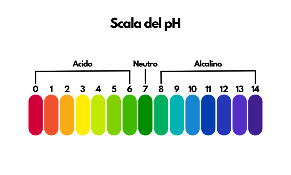Immagine della scala del pH