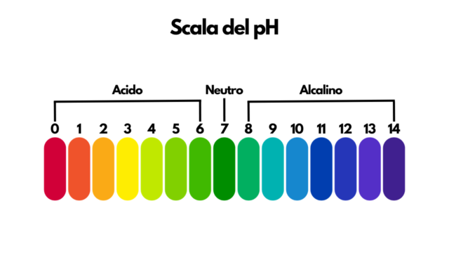 Che cos’è il pH