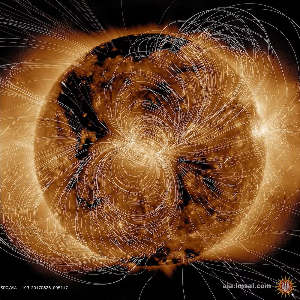 Questo è come potrebbero apparire le linee del campo magnetico del Sole se potessimo vederle sorgere dalla sua superficie. NASA
