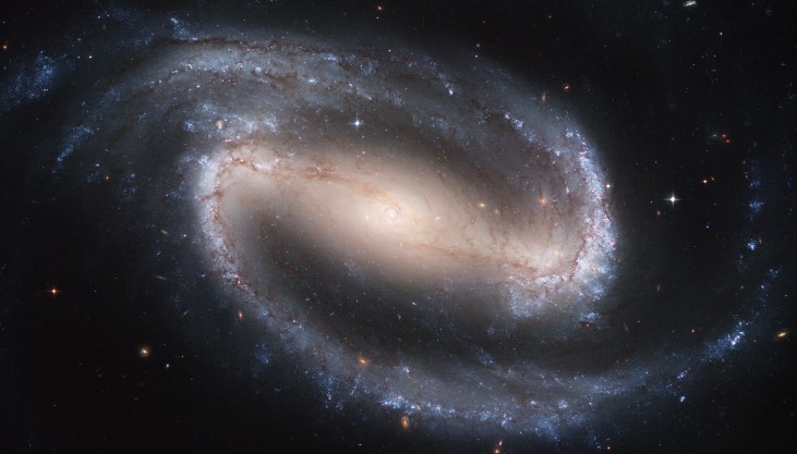 Figura 2: Galassia a spirale barrata. NGC 1300, qui mostrata, è una galassia a spirale barrata. Notare che i bracci della spirale iniziano alle estremità della barra. (credito: NASA, ESA e Hubble Heritage Team (STScI/AURA))