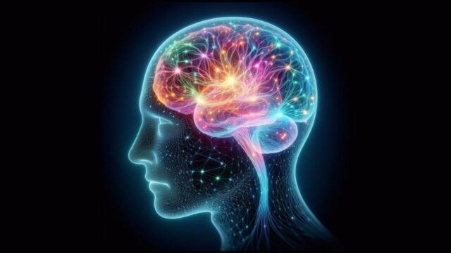 Alfa, beta, theta: cosa sono gli stati cerebrali e le onde cerebrali?