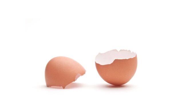 I benefici biomedici dei gusci d’uovo