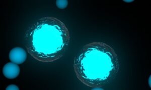 Rappresentazione di una cellula